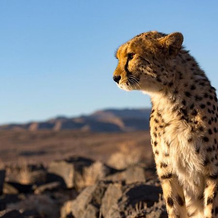 Neuras Wine And Wildlife Estate Hotel Namib-Naukluft National Park Luaran gambar