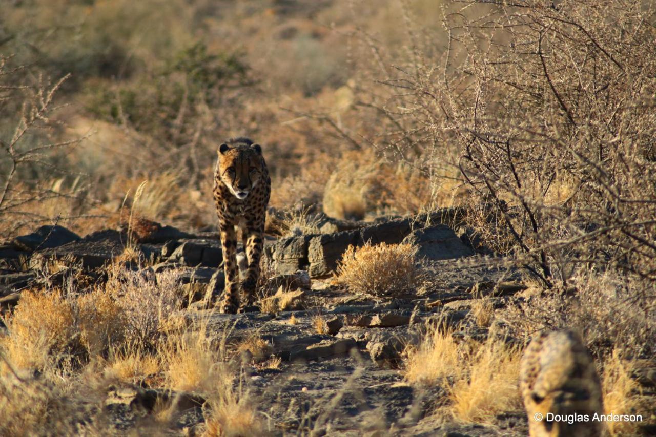 Neuras Wine And Wildlife Estate Hotel Namib-Naukluft National Park Luaran gambar