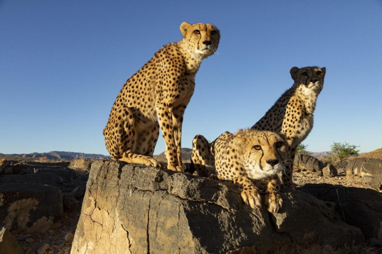 Neuras Wine And Wildlife Estate Hotel Namib-Naukluft National Park Luaran gambar