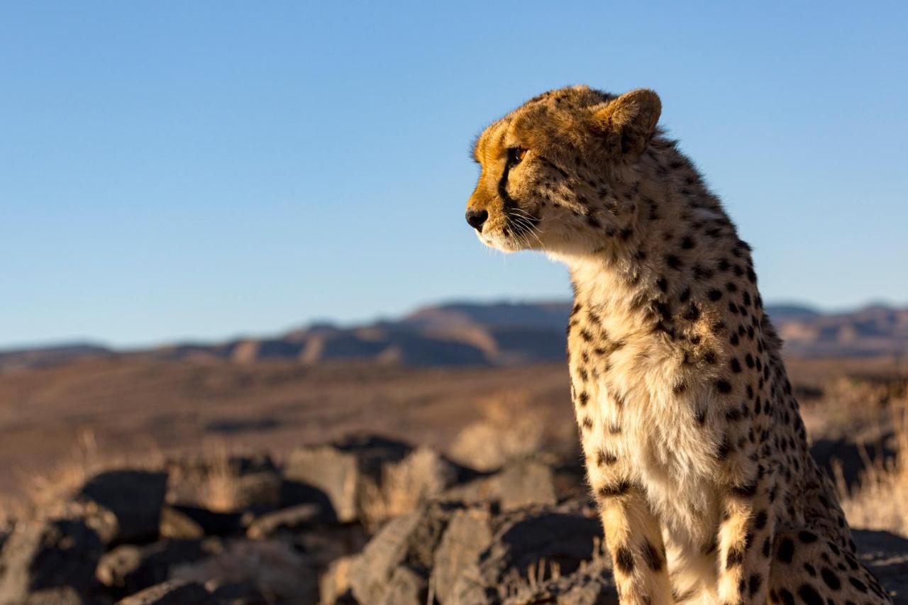 Neuras Wine And Wildlife Estate Hotel Namib-Naukluft National Park Luaran gambar