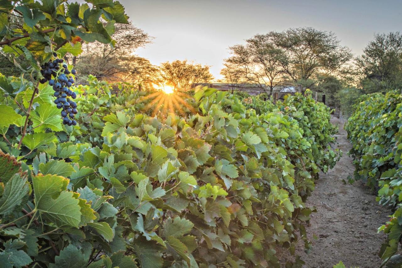 Neuras Wine And Wildlife Estate Hotel Namib-Naukluft National Park Luaran gambar