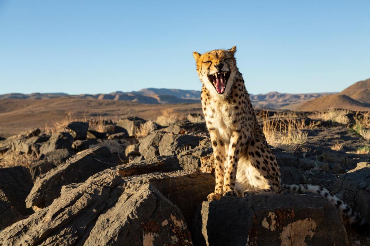 Neuras Wine And Wildlife Estate Hotel Namib-Naukluft National Park Luaran gambar