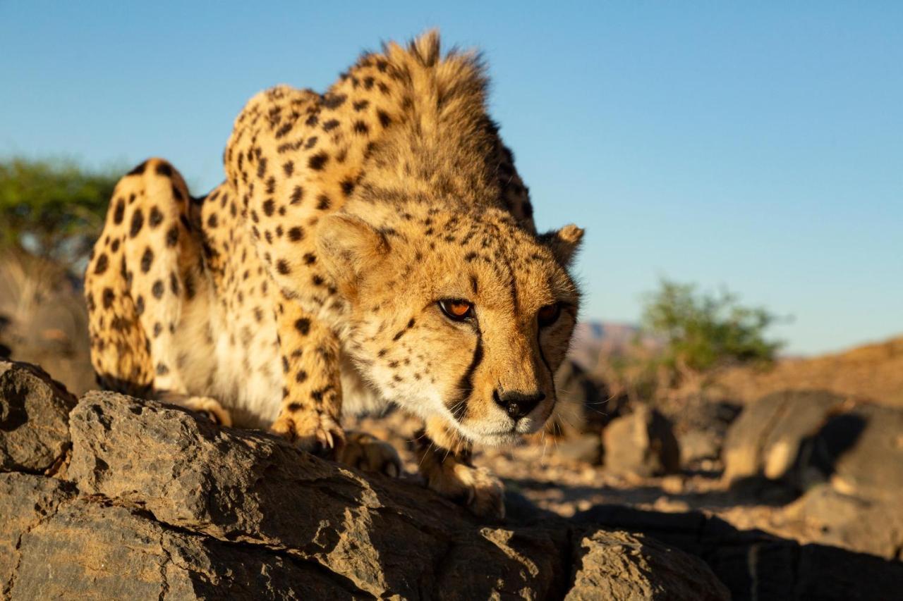 Neuras Wine And Wildlife Estate Hotel Namib-Naukluft National Park Luaran gambar